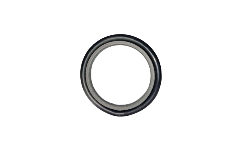 STEPSEAL PTFE+MOLYKOTE