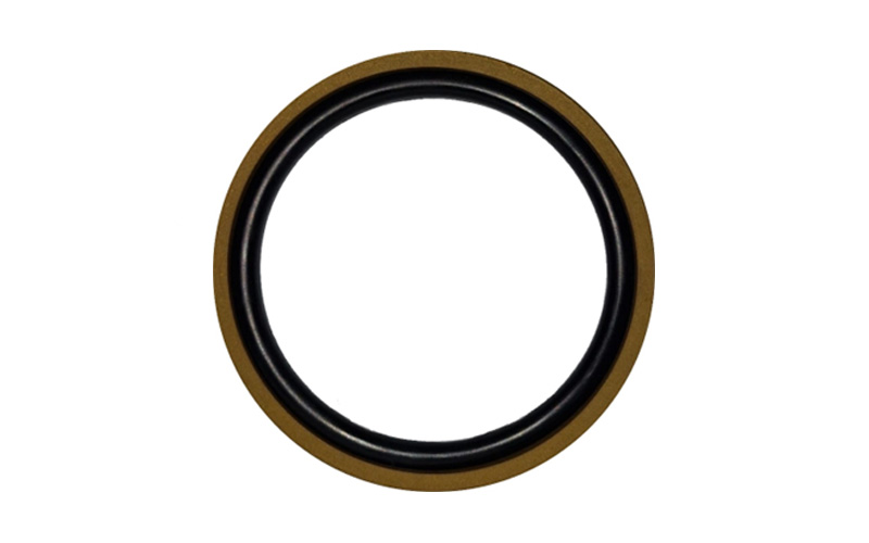 FLUOROPACK METRICO PTFE+BRONCE