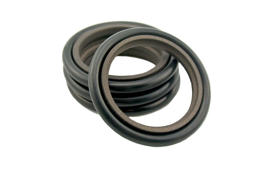 STEPSEAL PTFE+BRONCE